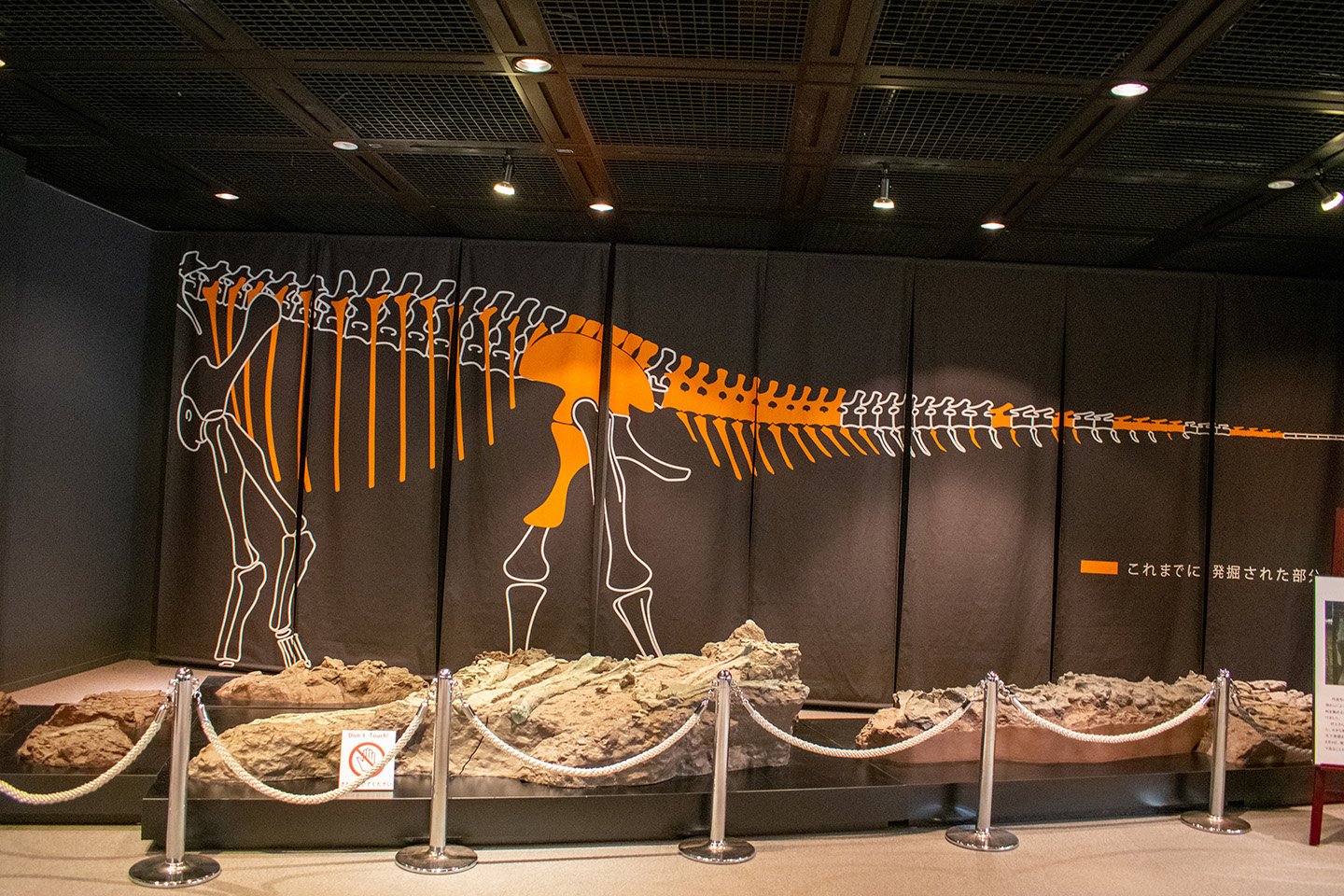 🏛️ 효고 현립 사람과 자연의 박물관(효고켄리츠 히토토시젠노하쿠부츠칸) 이미지 3